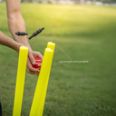 AV1 Image File Format.webp