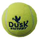 Dusk tennis ball